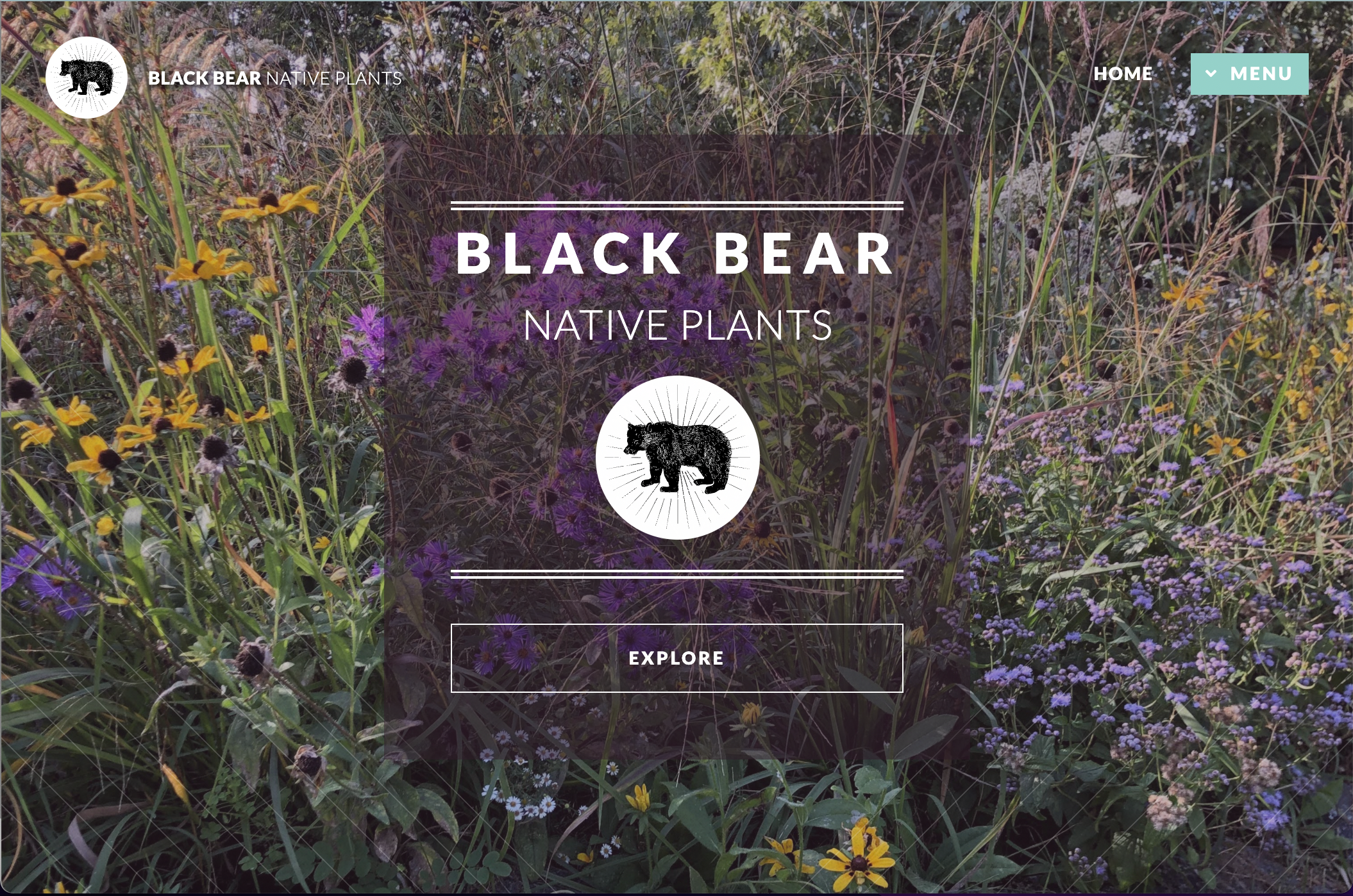 Landing page of Black Bear Native Plants